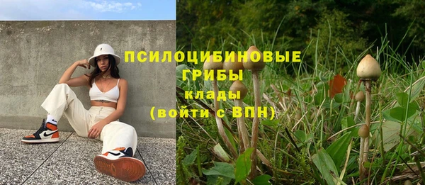 2c-b Алапаевск