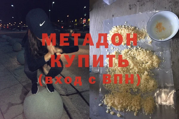 прущие грибы Алагир