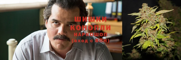 стаф Медногорск