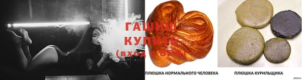 гидра Лиски