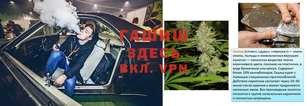 прущие грибы Алагир