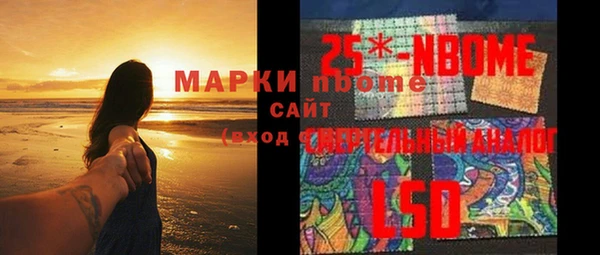 прущие грибы Алагир