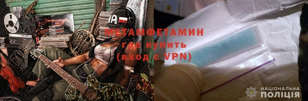 прущие грибы Алагир
